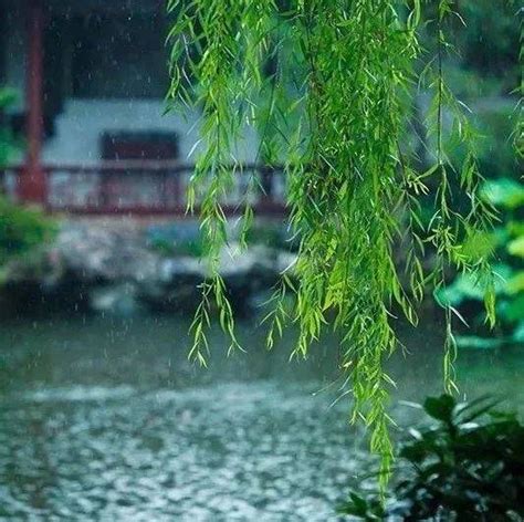 落雨|关于落雨的诗词